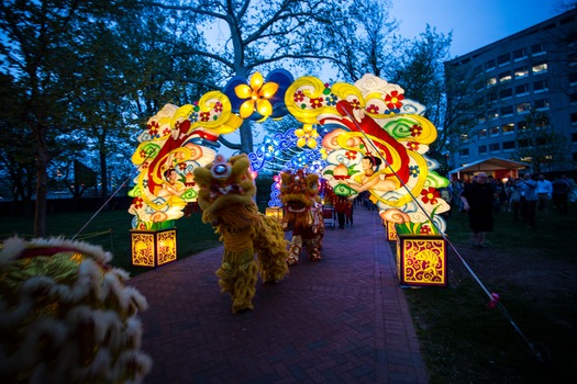 Chinese Lantern Festival