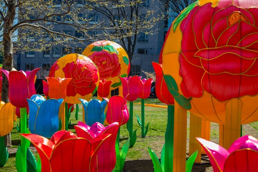Chinese Lantern Festival
