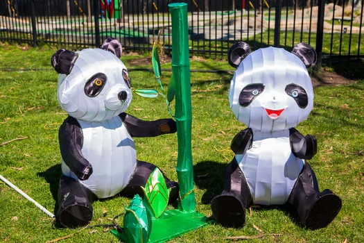 Chinese Lantern Festival