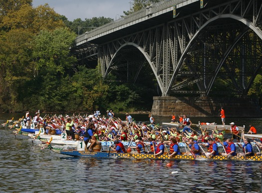 Dragon Boat Races