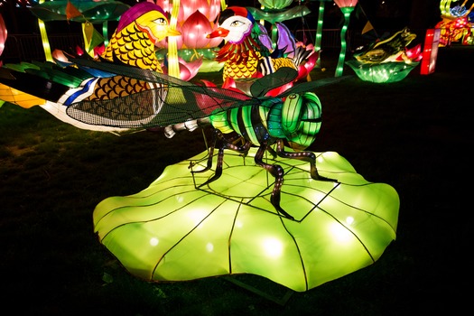 Chinese Lantern Festival