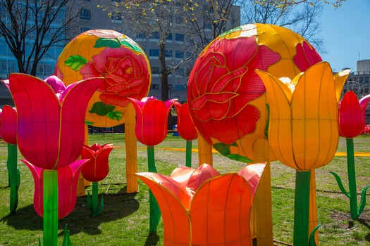 Chinese Lantern Festival