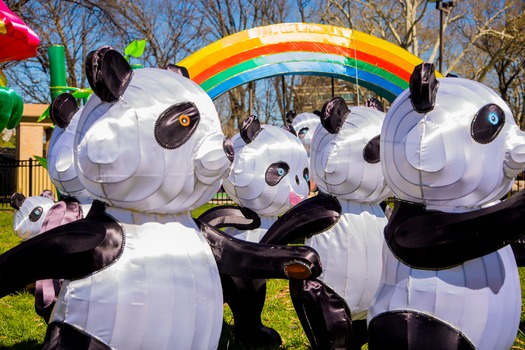 Chinese Lantern Festival