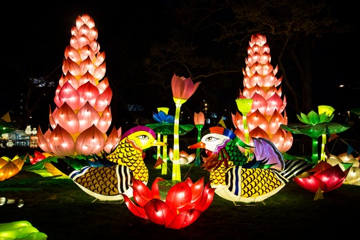 Chinese Lantern Festival