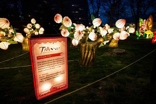 Chinese Lantern Festival