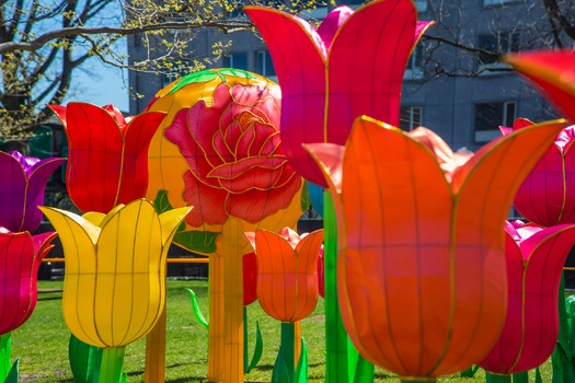 Chinese Lantern Festival
