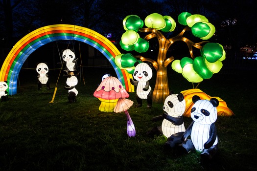 Chinese Lantern Festival
