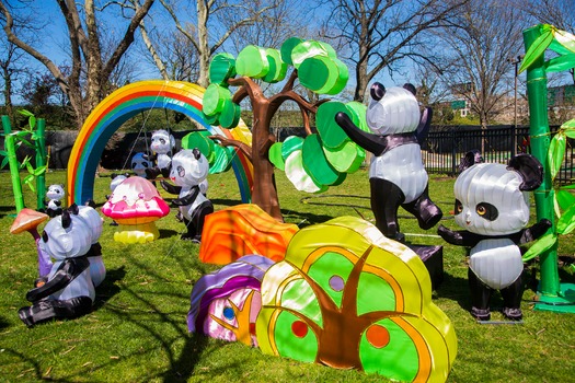 Chinese Lantern Festival