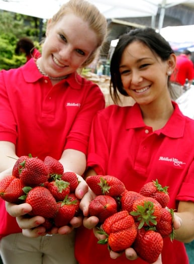 Strawberry Festival