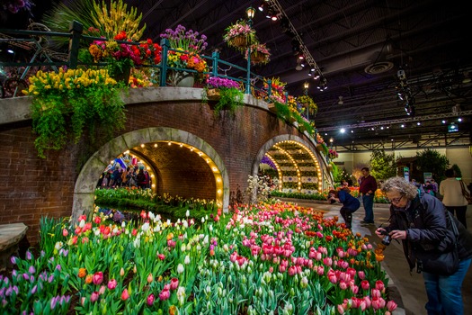 PHS Philadelphia Flower Show