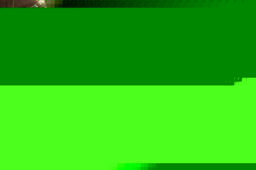 PHS Philadelphia Flower Show