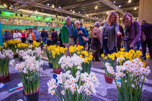 PHS Philadelphia Flower Show
