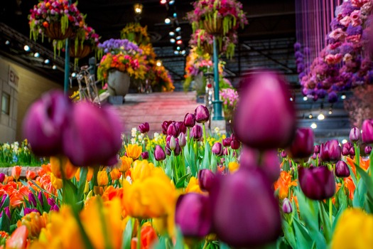 PHS Philadelphia Flower Show