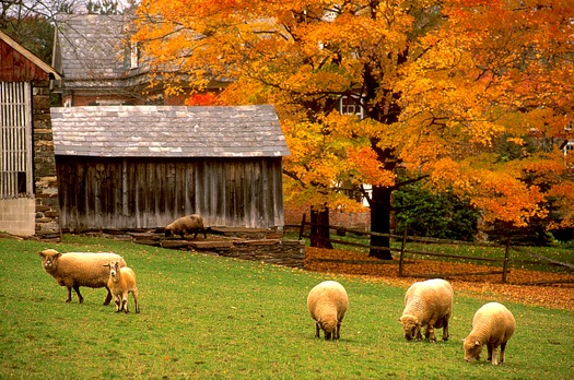 Stover Mill