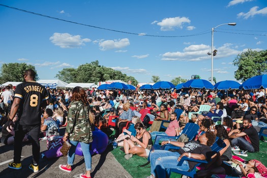 The Roots Picnic