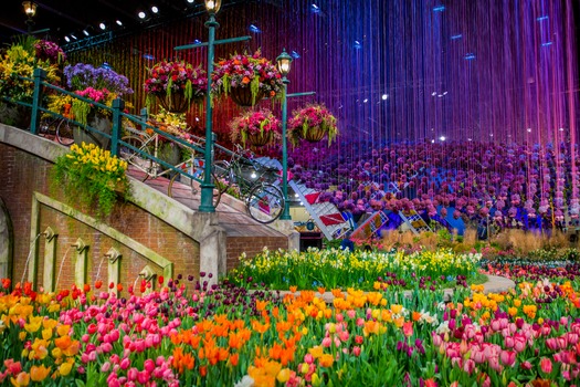 PHS Philadelphia Flower Show