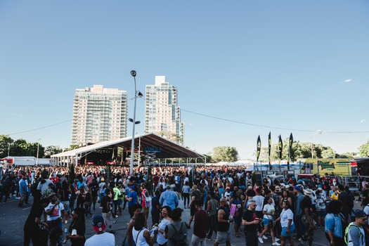 The Roots Picnic