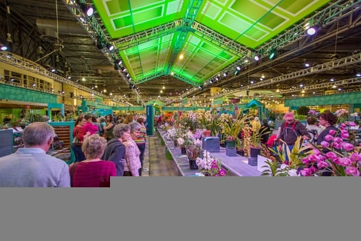 PHS Philadelphia Flower Show