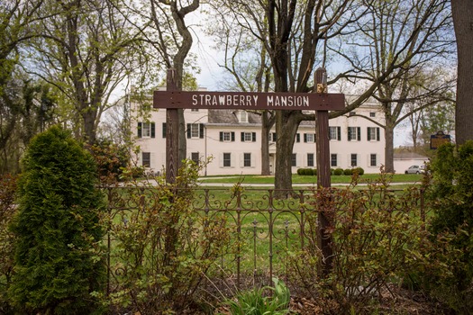 Strawberry Mansion