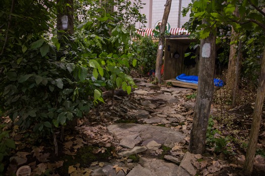 PHS Philadelphia Flower Show