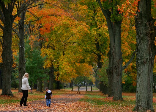 Washington Crossing Historic Park