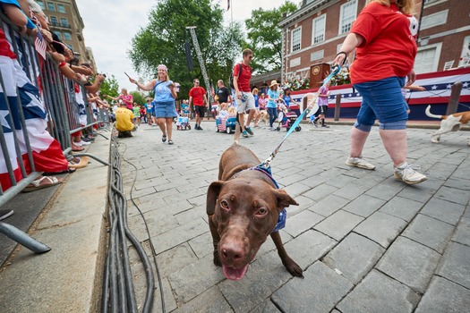 Independence Day Parade