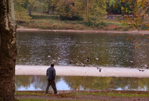 Washington Crossing Historic Park