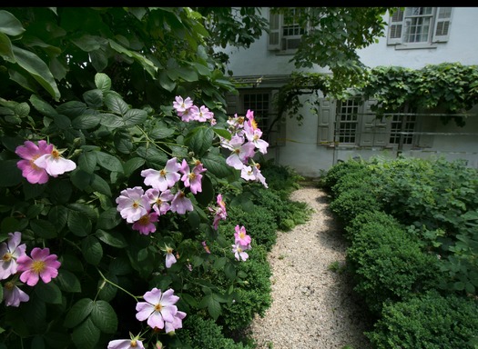 Wyck Historic House and Garden