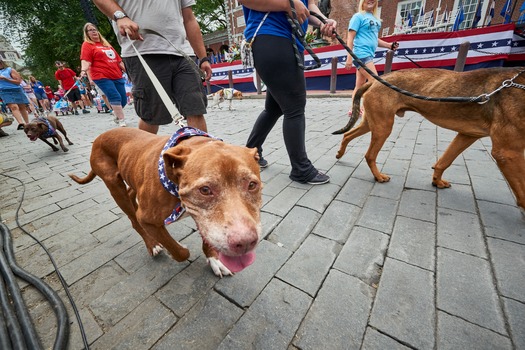 Independence Day Parade