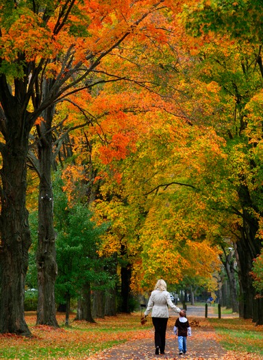 Washington Crossing Historic Park