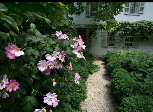 Wyck Historic House and Garden