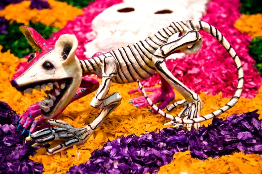 Day of the Dead