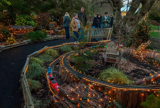 Morris Arboretum Holiday Garden Railway