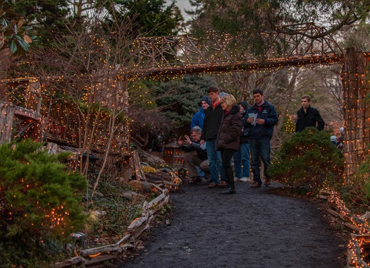 Morris Arboretum Holiday Garden Railway