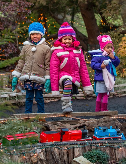 Morris Arboretum Holiday Garden Railway