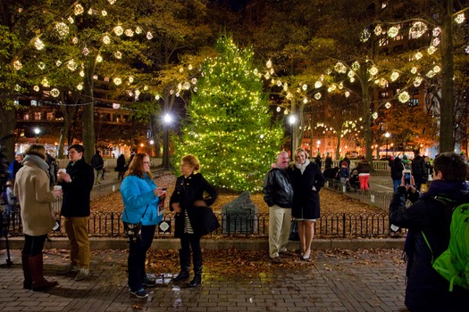 Rittenhouse Square Christmas Tree