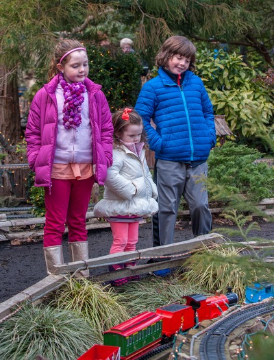 Morris Arboretum Holiday Garden Railway