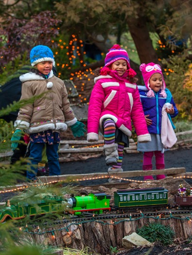 Morris Arboretum Holiday Garden Railway