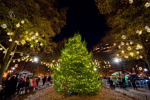 Rittenhouse Square Christmas Tree