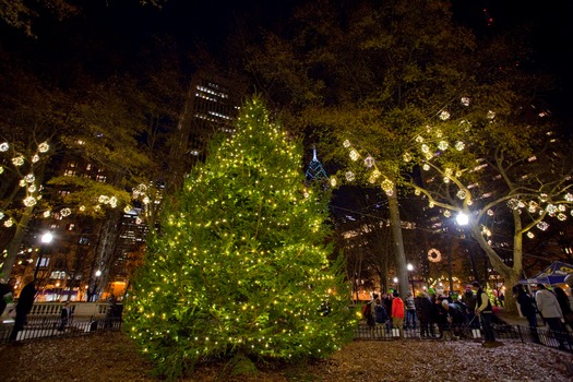 Rittenhouse Square Christmas Tree