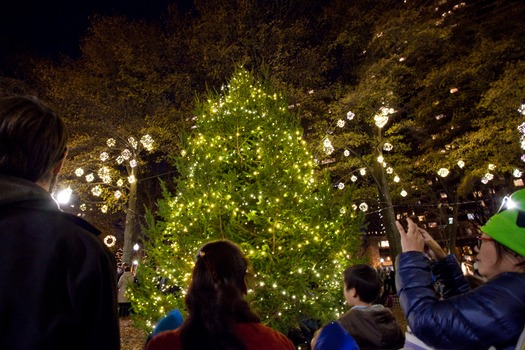 Rittenhouse Square Christmas Tree