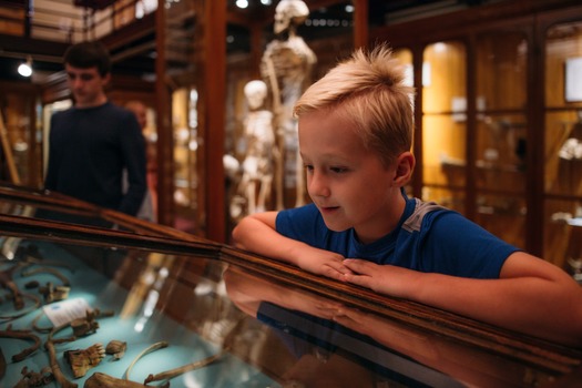 Mütter Museum of The College of Physicians of Philadelphia