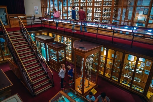 Mütter Museum of The College of Physicians of Philadelphia