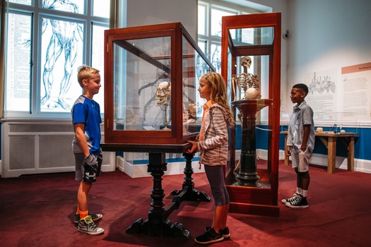 Mütter Museum of The College of Physicians of Philadelphia