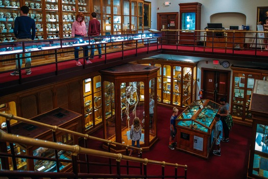 Mütter Museum of The College of Physicians of Philadelphia