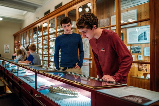 Mütter Museum of The College of Physicians of Philadelphia