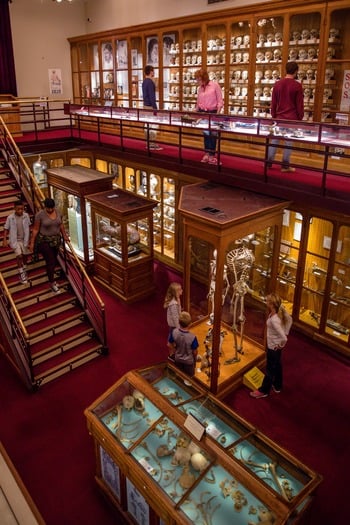 Mütter Museum of The College of Physicians of Philadelphia