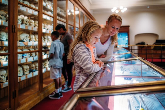 Mütter Museum of The College of Physicians of Philadelphia