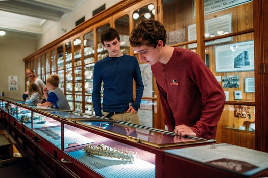 Mütter Museum of The College of Physicians of Philadelphia