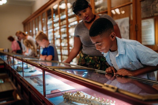 Mütter Museum of The College of Physicians of Philadelphia